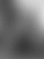 Clyde le Highland Lynx