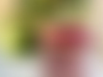 Winter Margarita Mocktail