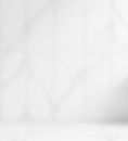 white marble tile with no objects .jpg