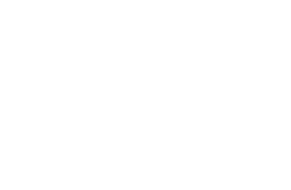 logo_weddingframe_2022_white.png