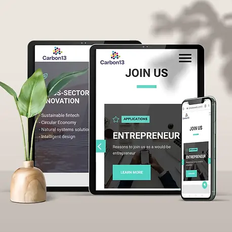 carbon-thirteen-web-development-leta