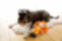 Home_Secure_S7A7247 (1).png