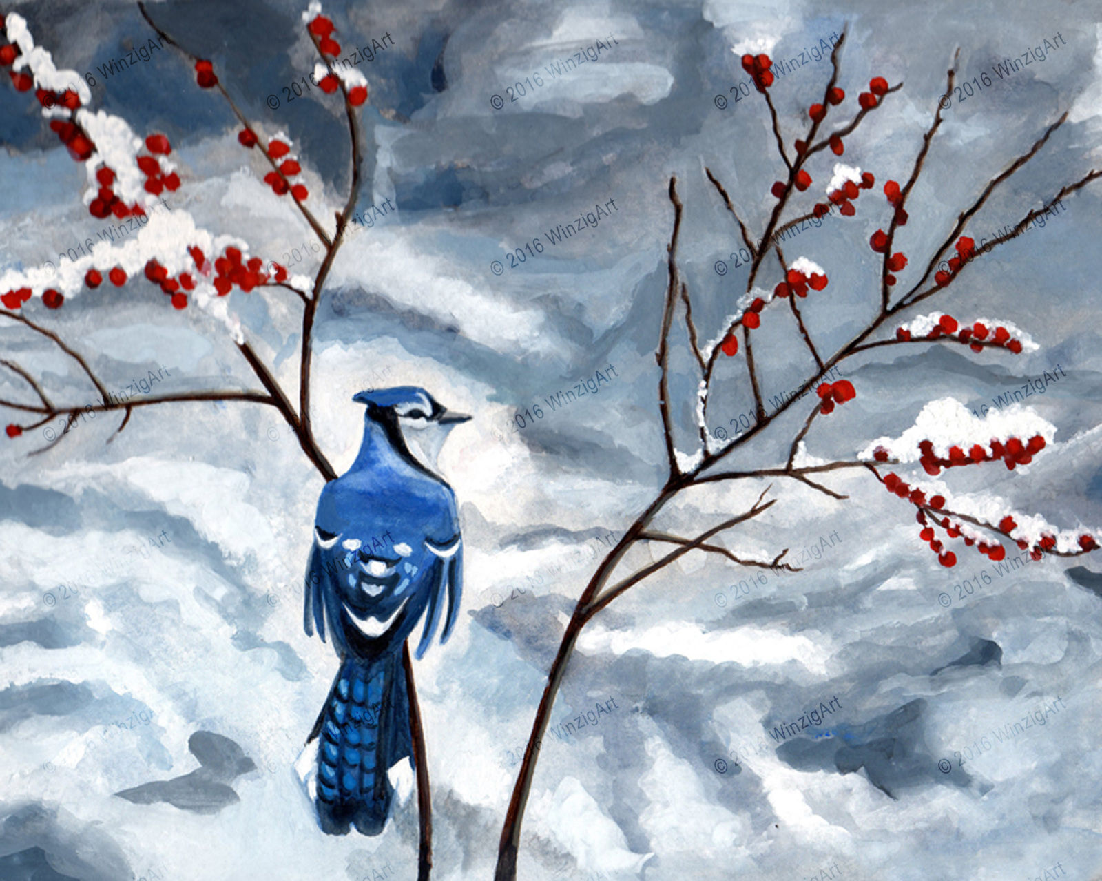 Blue Jay - Archival Print