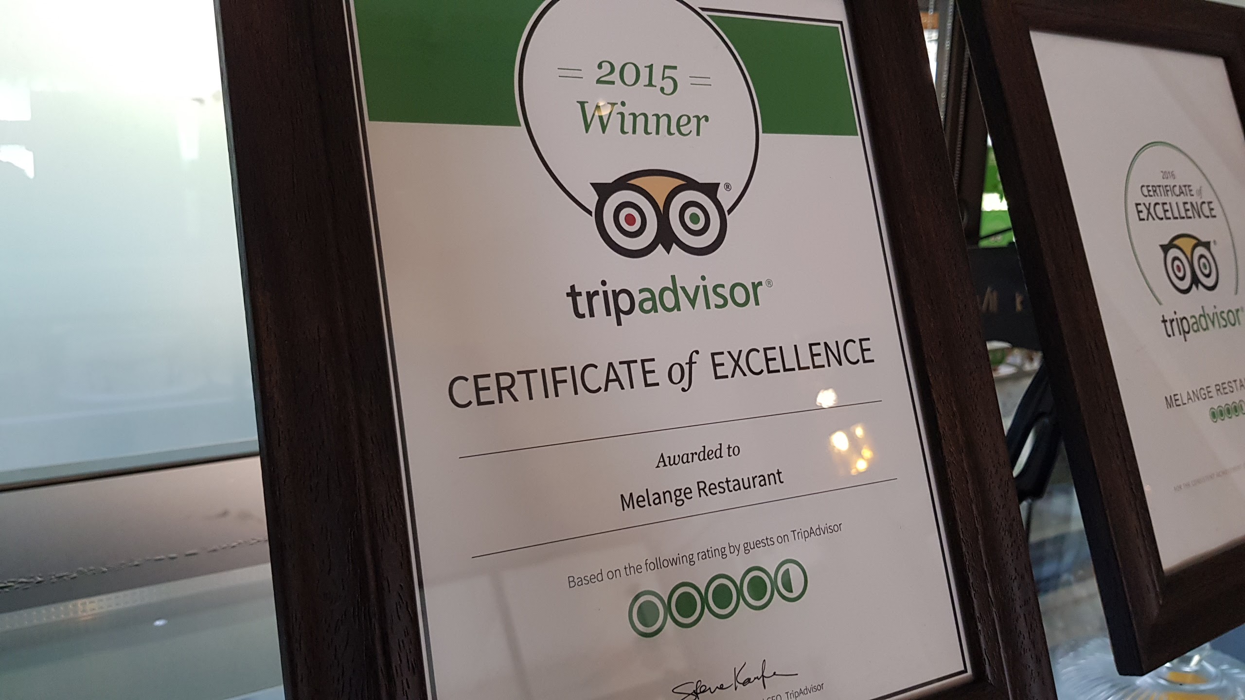 Trip Advisor 2015