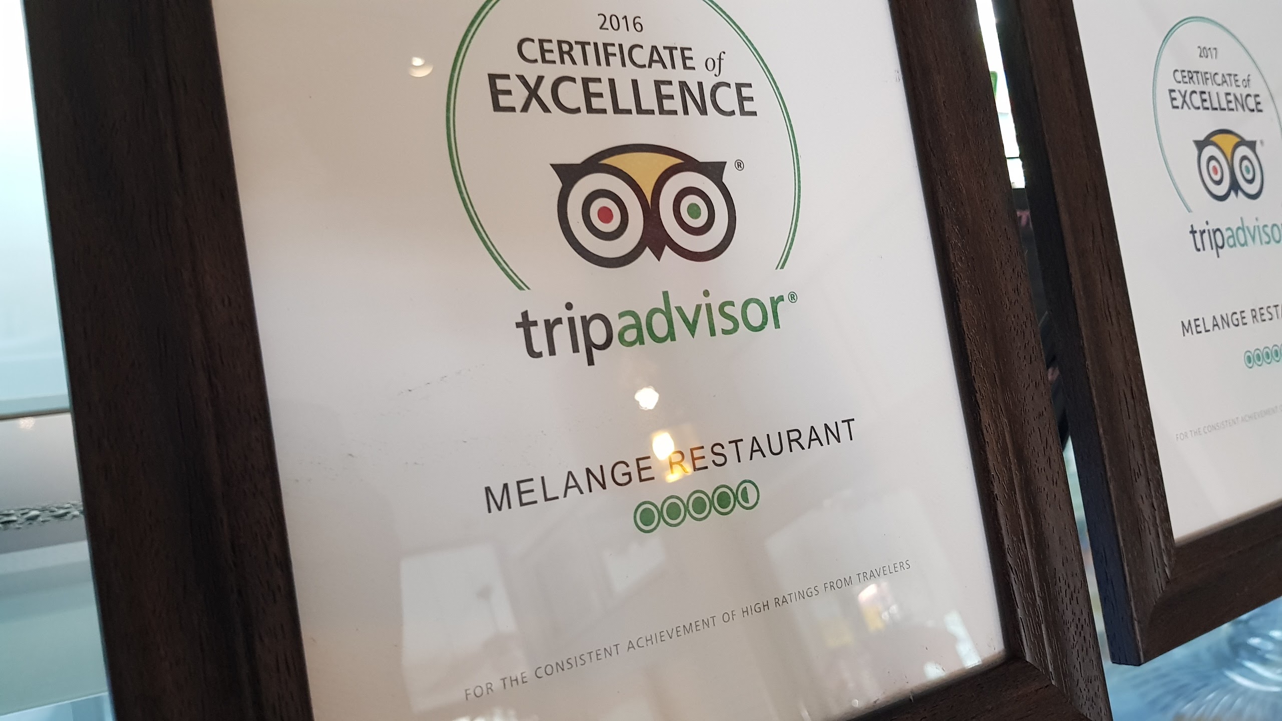 Trip Advisor 2016