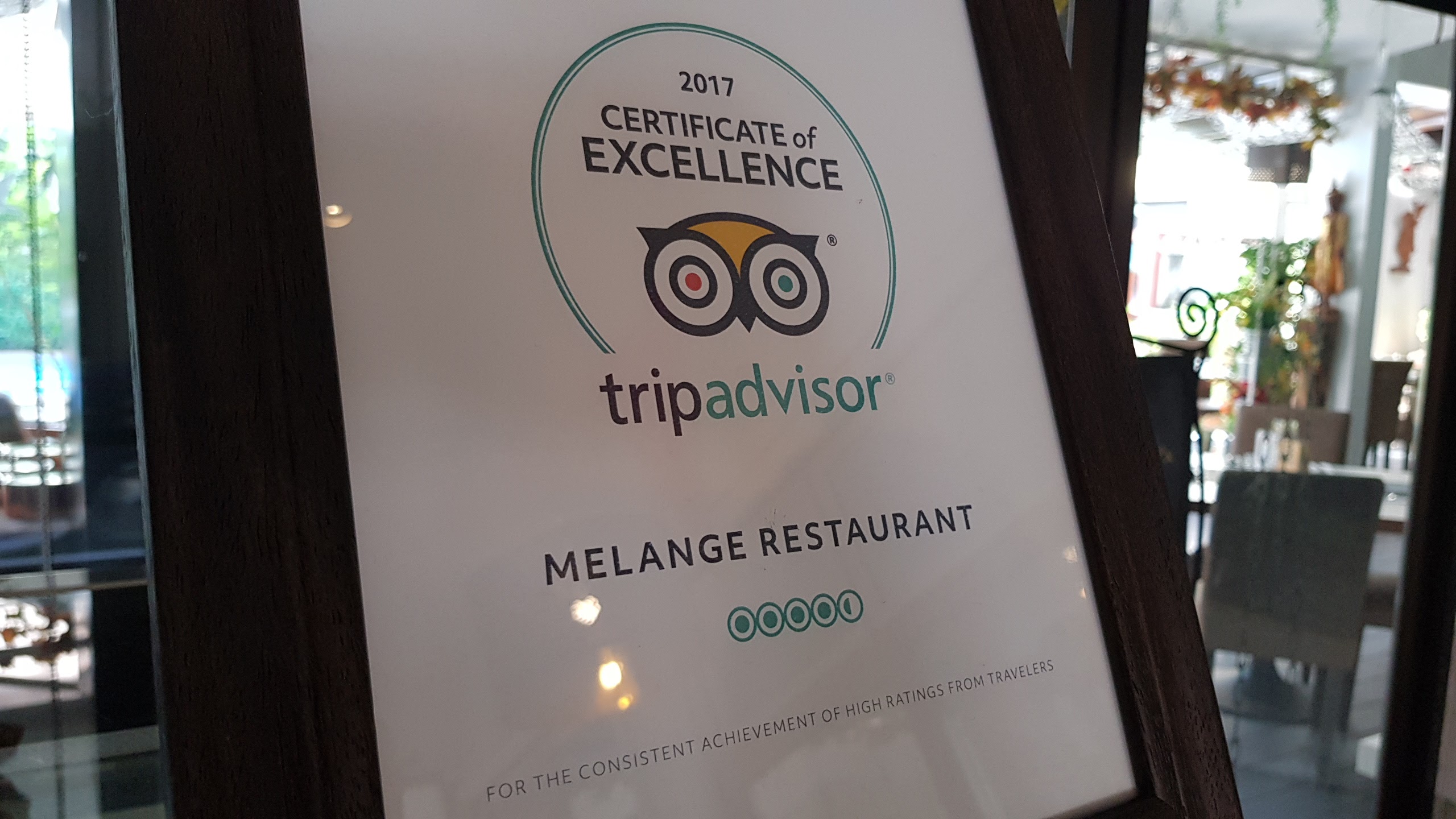 Trip Advisor 2017
