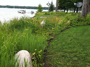 Lake Shoreline Restoration