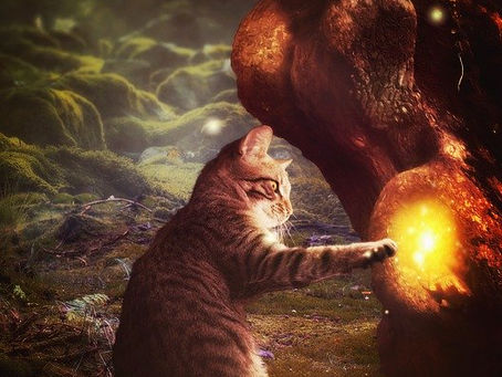 Misconceptions About Magic
