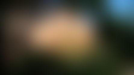 Guarda ogni singolo filo d'erba…che anche lui sia stato curato da Qualcuno?
