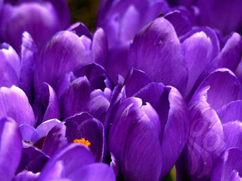 Second Week of Lent 2023