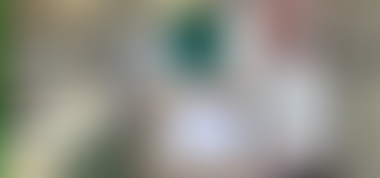 More donations from the wonderful Chinese Community in London