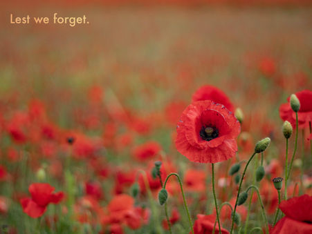 We Remember Them