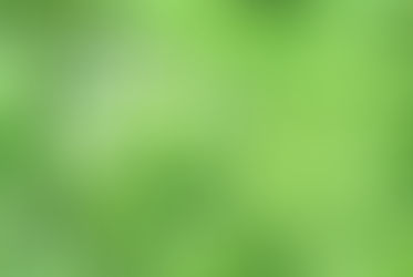 Happy St Patrick's Day