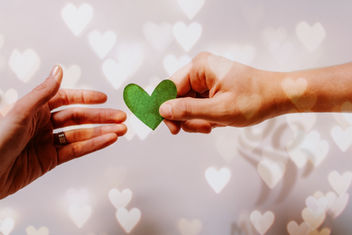 Making a Difference: volunteer as a 'befriender'