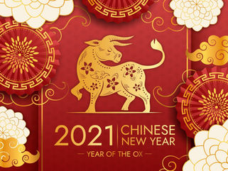 Lunar New Year: the year of the Ox