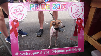 Pride 2017 #LoveHappensHere at Mildmay