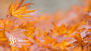 Chaplaincy Update, November 2020
