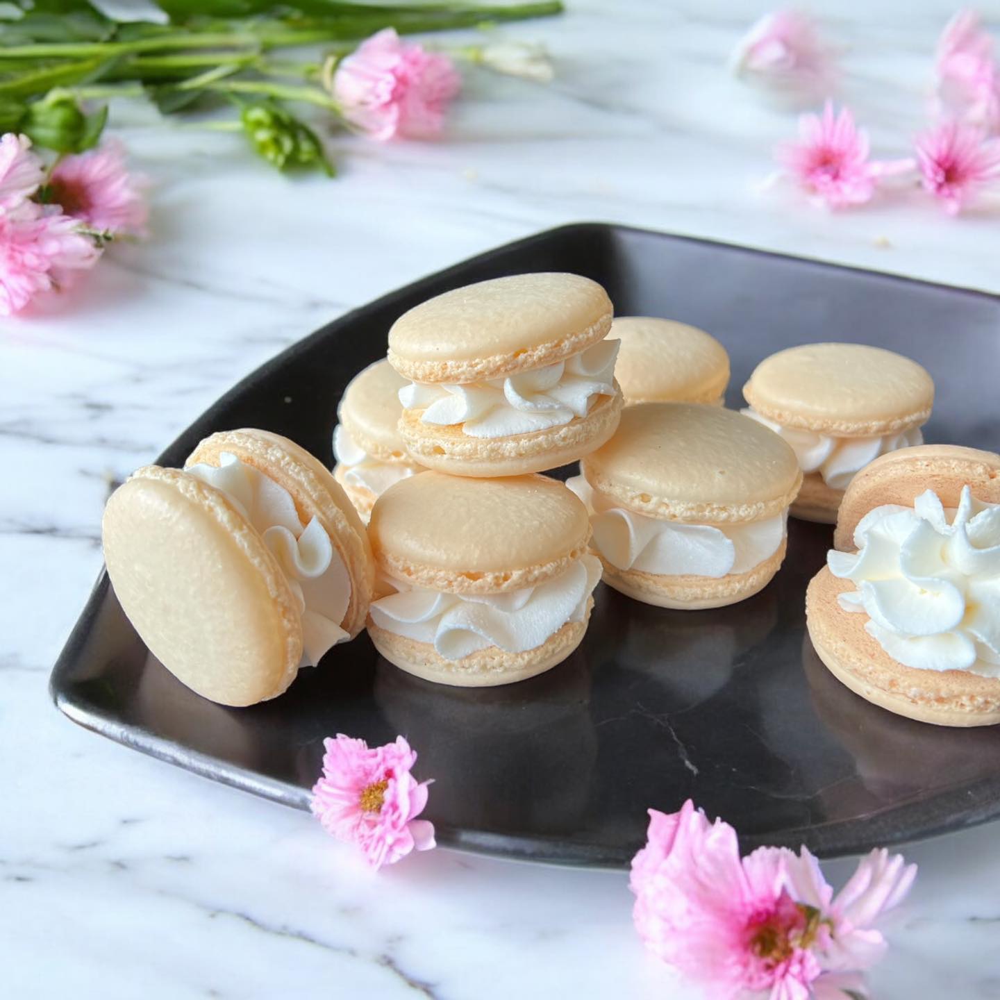 Arranged Food and Objects