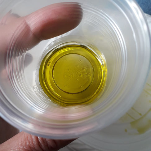 Olive oil in a plastic cup ready for tasting