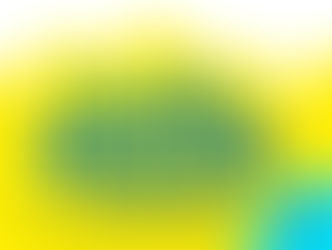 Coup de projecteur 2021