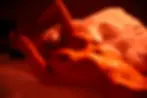 ree