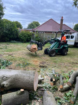 Tractor carrying stump