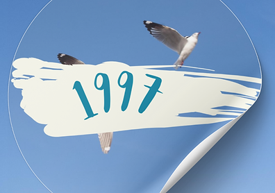 Untitled design (17).png