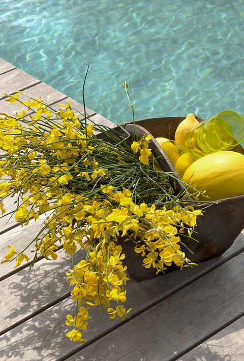 piscine_01.jpg