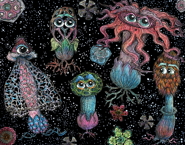 Celestial Fungi.png