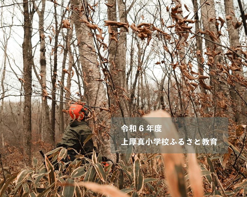 上厚真小学校ふるさと教育