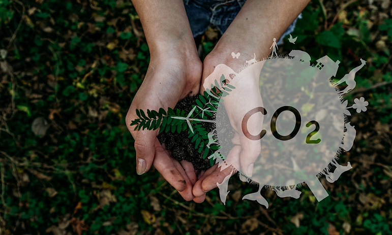 ECO.png