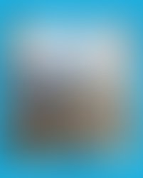 おかえりなさいサケプロジェクトーごみ拾い×BINGOアドベンチャーCLEANGOを行いました!