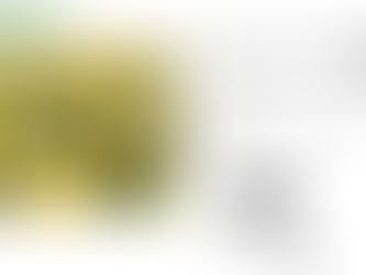 Ethan's Smile and Washington Tulip Festival