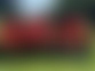 MÉXICO PRESENTE EN EL CAMPEONATO MUNDIAL DE PARA TIRO CON ARCO