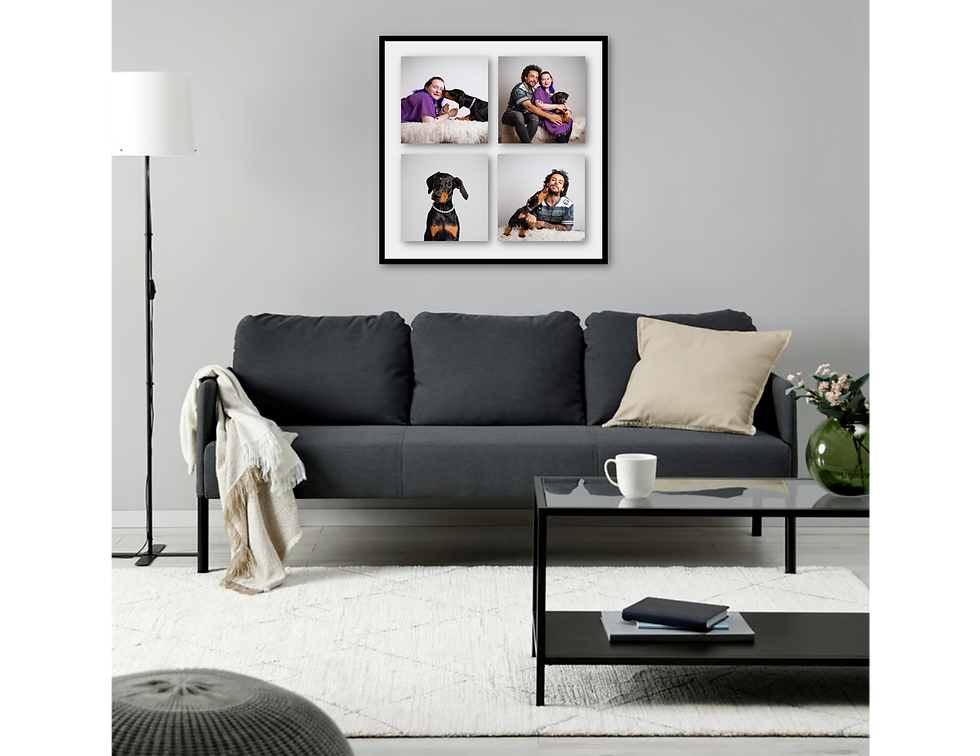 The artwork we are making from the puppy photo shoot