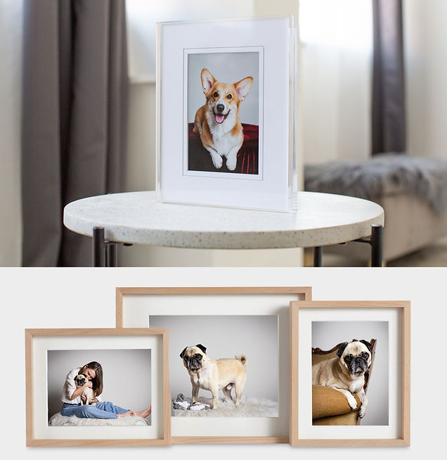 Slip In Frame ZNO + Acrylic Block.jpg