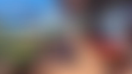 Dog friendly cafe profile - HP Source