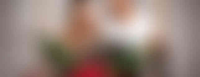 Sydney Pet Photography for Dogs