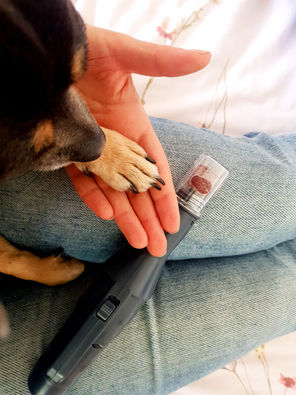 The dreaded nail clipper