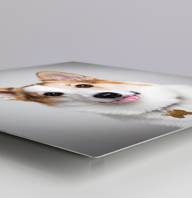 Metal prints.jpg