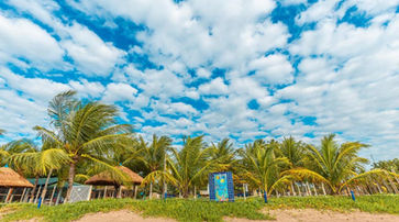 Praia no Chales Maragogi 12