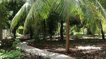 Jardim na Pousada Ponta de Mangue