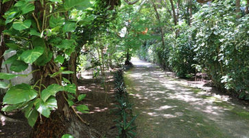 Jardim na Pousada Ponta de Mangue 3
