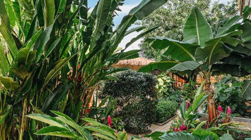 Entretenimento na Vila Sal Boutique Noronha 7