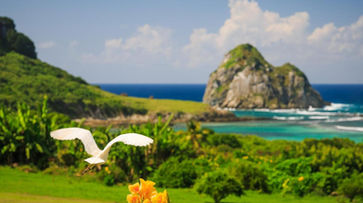 Entretenimento no NANNAI Noronha 2