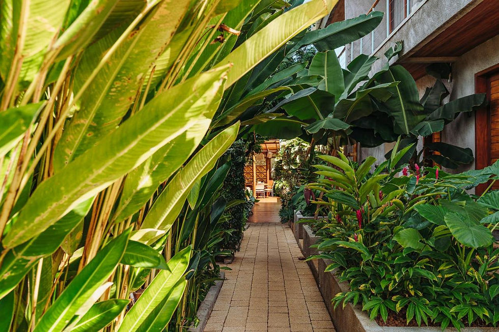 VILA SAL BOUTIQUE NORONHA
