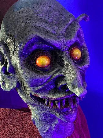 Halloween Prop/Horror Décor-Vampire Head-"Count Neville" (THE MASTER Variant)