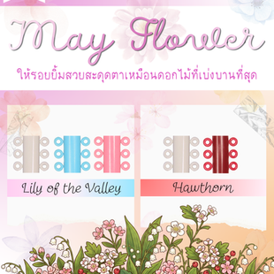 🌸 "May Flower" เปลี่ยนสียางใหม่ให้ยิ้มสวยสะดุดตาเหมือนดอกไม้ที่เบ่งบาน