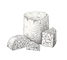 peynir-icon-07.png