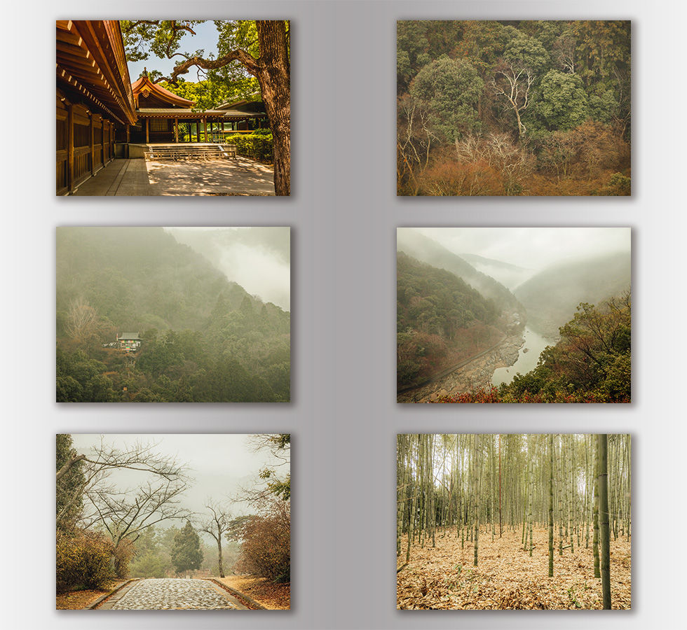 Thumbnail: Kyoto Forest | 4K Wallpaper Pack